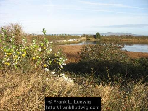 Booterstown Nature Reserve